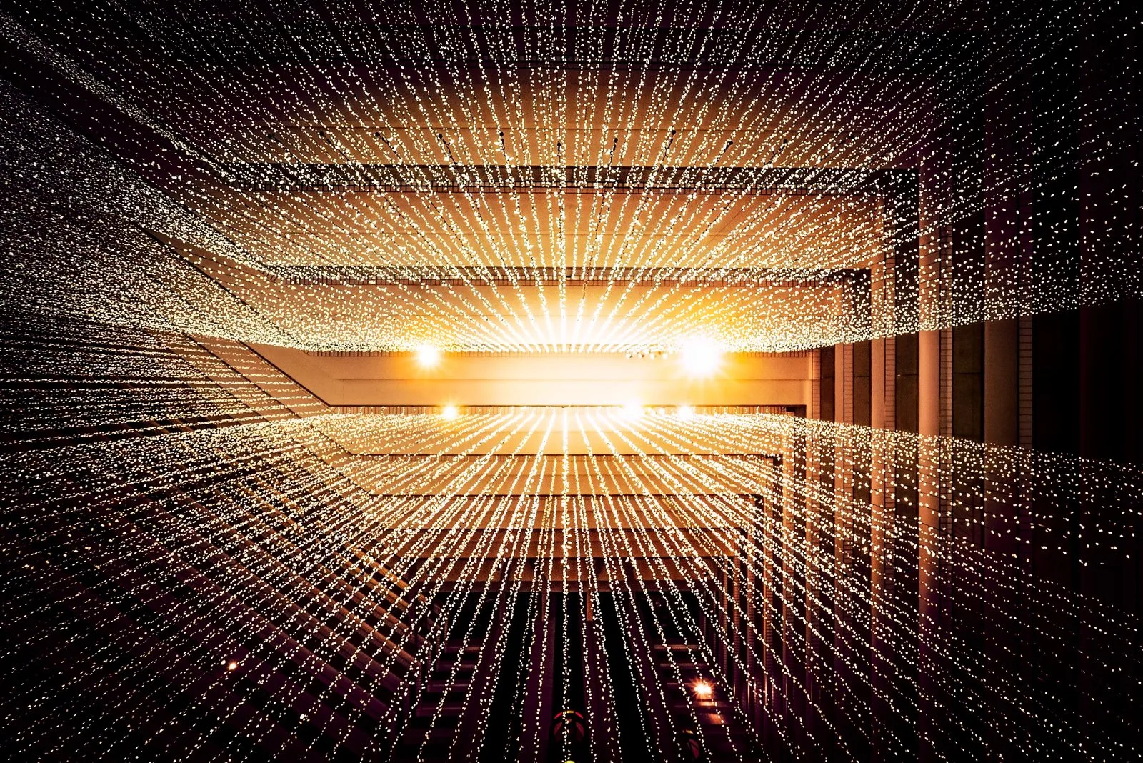 捷报比分